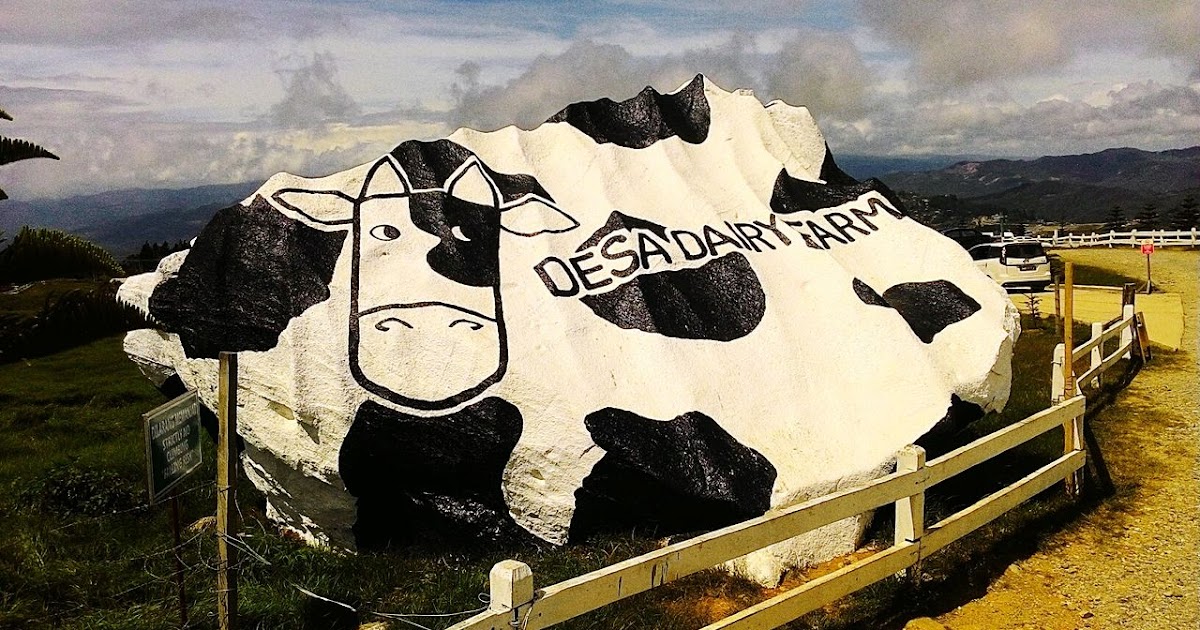 desa-dairy-farm bg